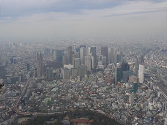 Tokyo Sightseeing
