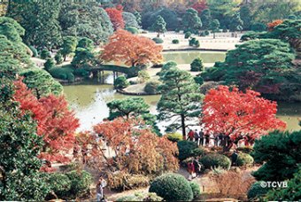 Tokyo Sightseeing