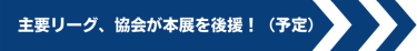 主要リーグ、協会が本展を後援！（予定）