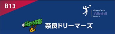 チームロゴ