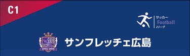チームロゴ